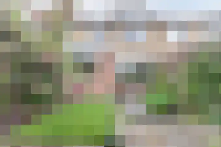 Retiefstraat 221 Ermelo thumbnail 31