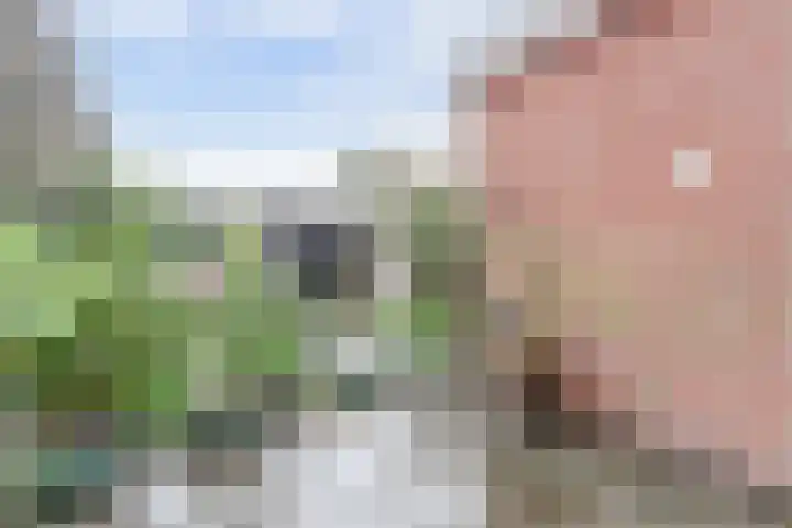 Retiefstraat 221 Ermelo thumbnail 32
