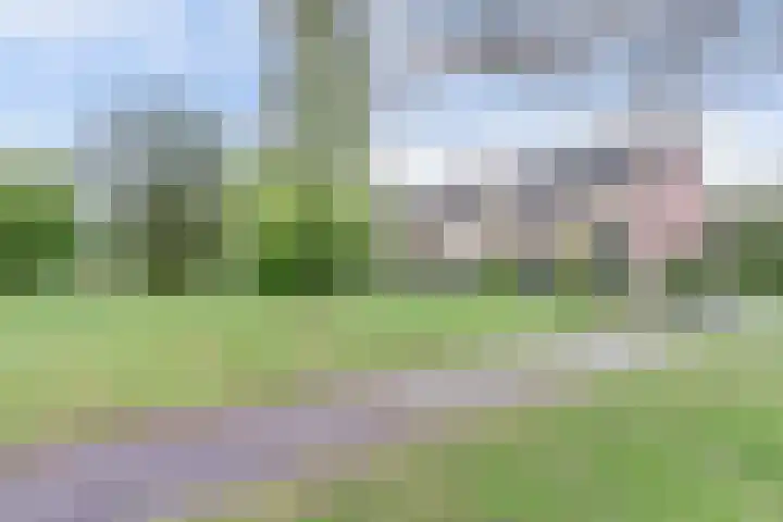 Retiefstraat 221 Ermelo thumbnail 36