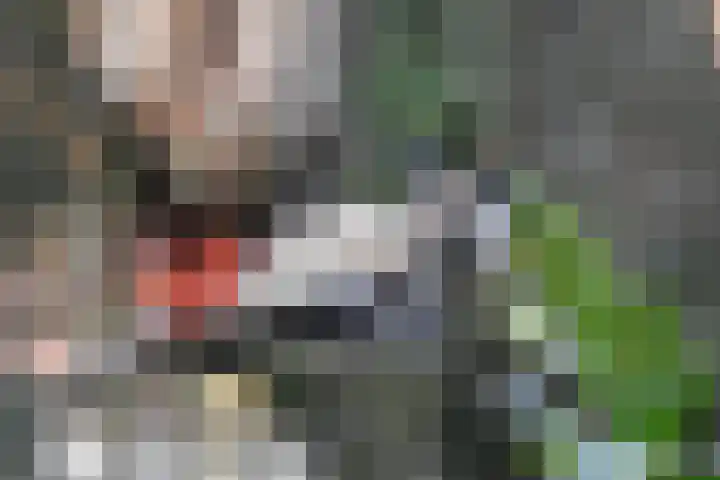 Retiefstraat 221 Ermelo thumbnail 41
