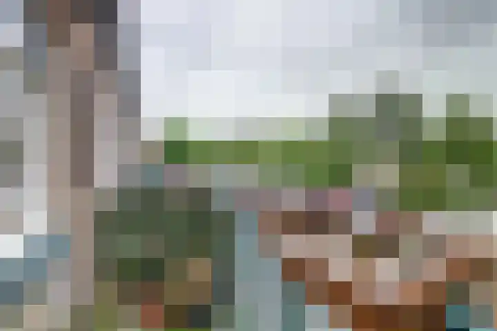 Retiefstraat 41 Ridderkerk thumbnail 11