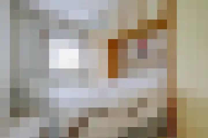 Retiefstraat 41 Ridderkerk thumbnail 13