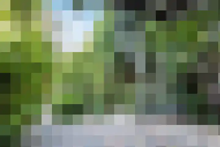 Retranchement 24 Gorinchem thumbnail 18