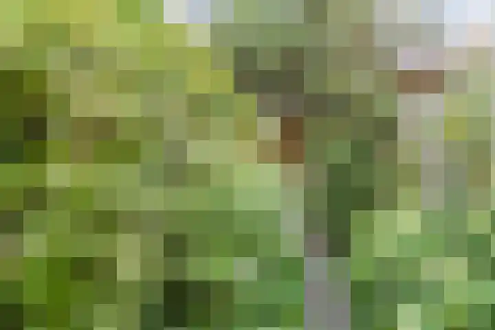 Retranchement 24 Gorinchem thumbnail 20