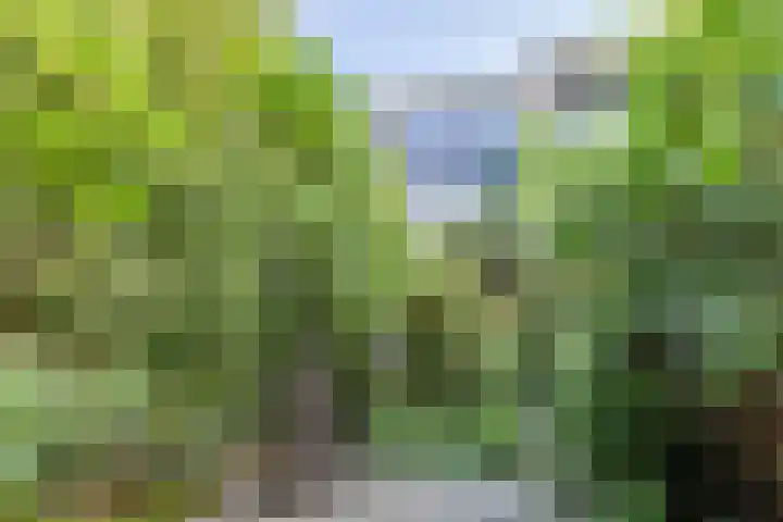 Retranchement 24 Gorinchem thumbnail 22