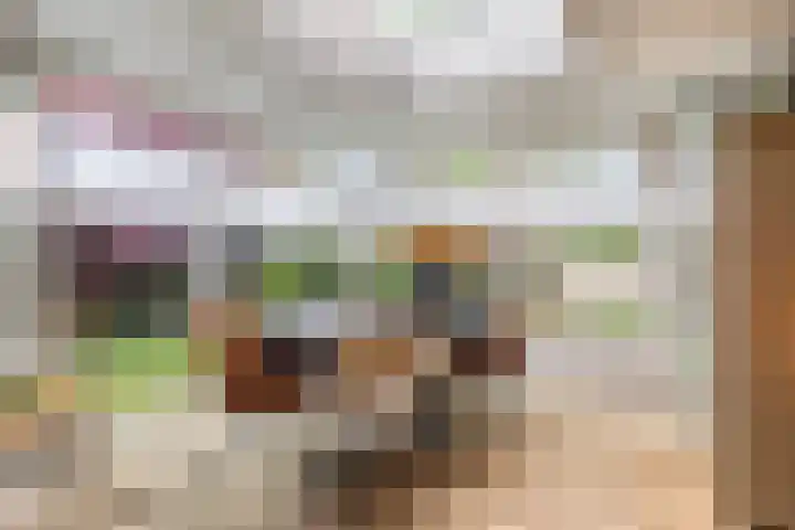 Reusel 2 Deurne thumbnail 18