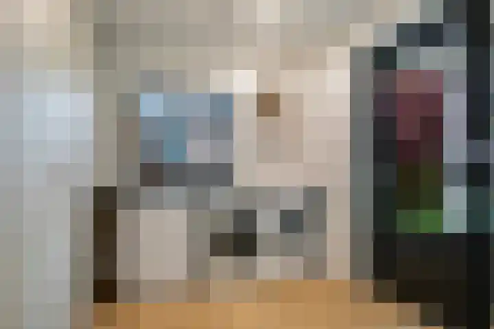 Reusel 2 Deurne thumbnail 19