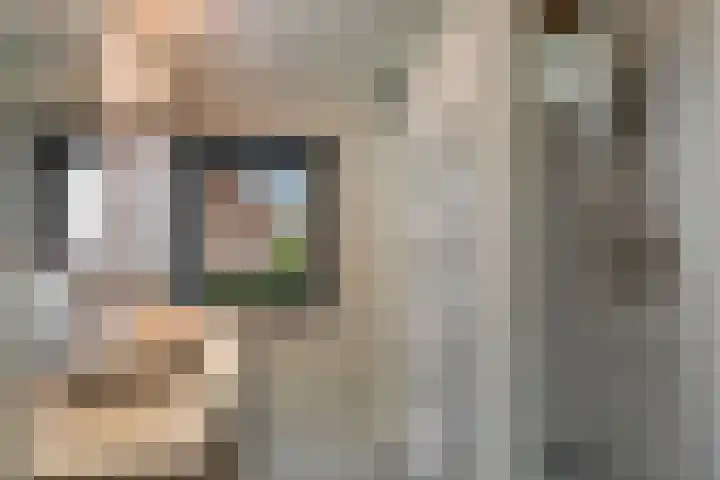 Reusel 2 Deurne thumbnail 27