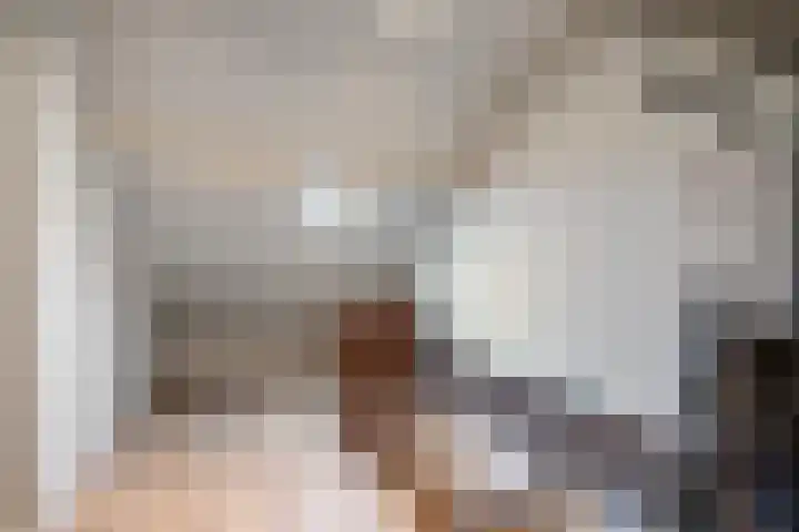Reusel 2 Deurne thumbnail 30