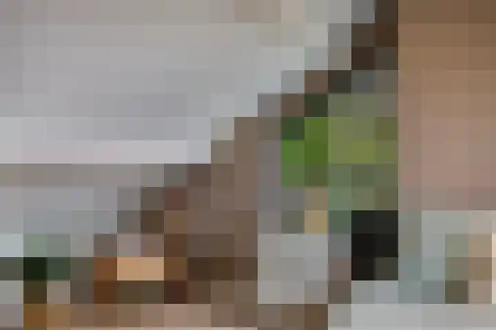 Reusel 2 Deurne thumbnail 32