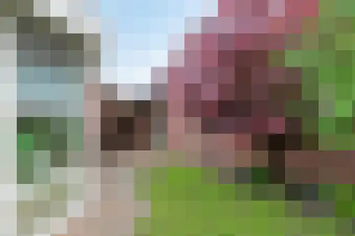 Reusel 2 Deurne thumbnail 35