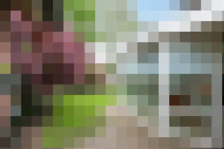 Reusel 2 Deurne thumbnail 36