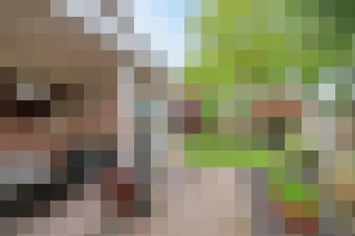 Reusel 2 Deurne thumbnail 40