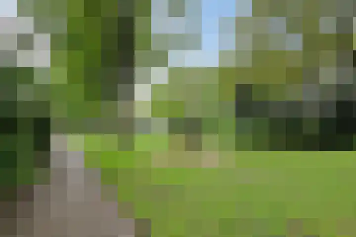 Reusel 2 Deurne thumbnail 46
