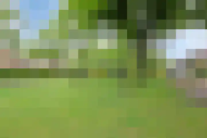 Reusel 2 Deurne thumbnail 48