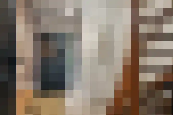 Reusel 2 Deurne thumbnail 6