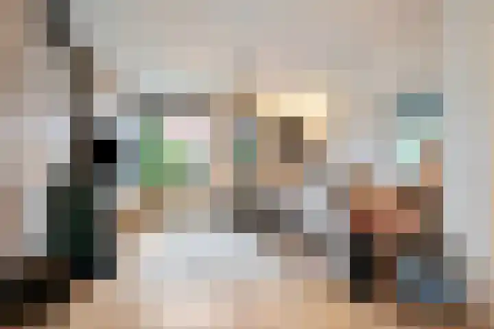 Reusel 2 Deurne thumbnail 8