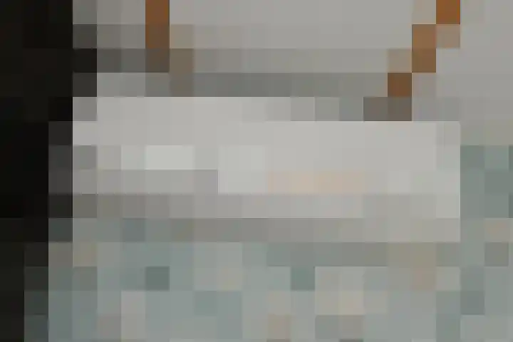 Reuvekampstraat 35 Driel thumbnail 32