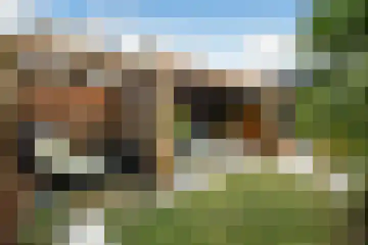 Reuvekampstraat 35 Driel thumbnail 49