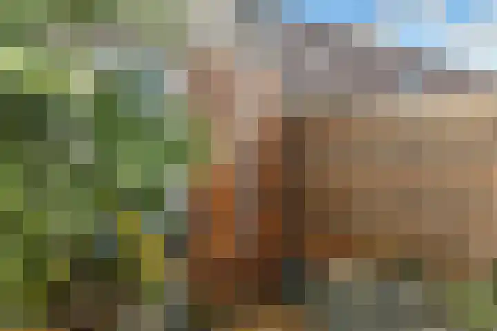 Reuvekampstraat 35 Driel thumbnail 50