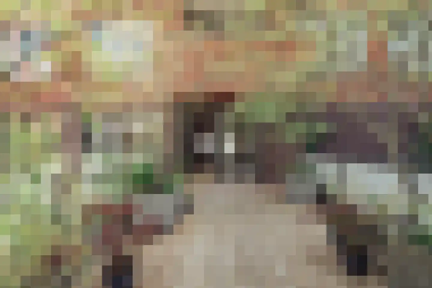 Revaleiland 406 Amsterdam thumbnail 14
