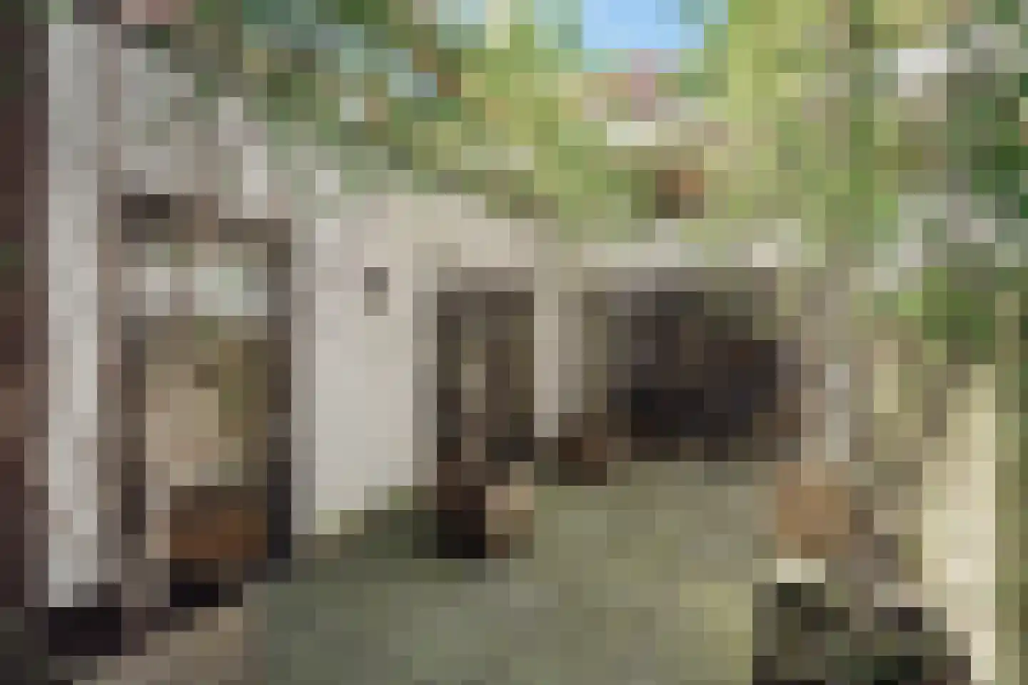 Revaleiland 406 Amsterdam thumbnail 17