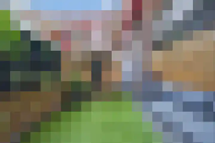 Revaleiland 419 Amsterdam thumbnail 26