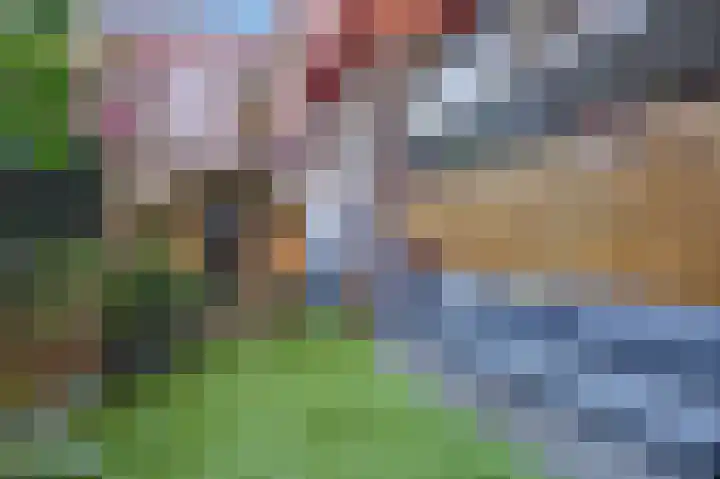 Revaleiland 419 Amsterdam thumbnail 27