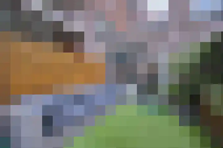 Revaleiland 419 Amsterdam thumbnail 30