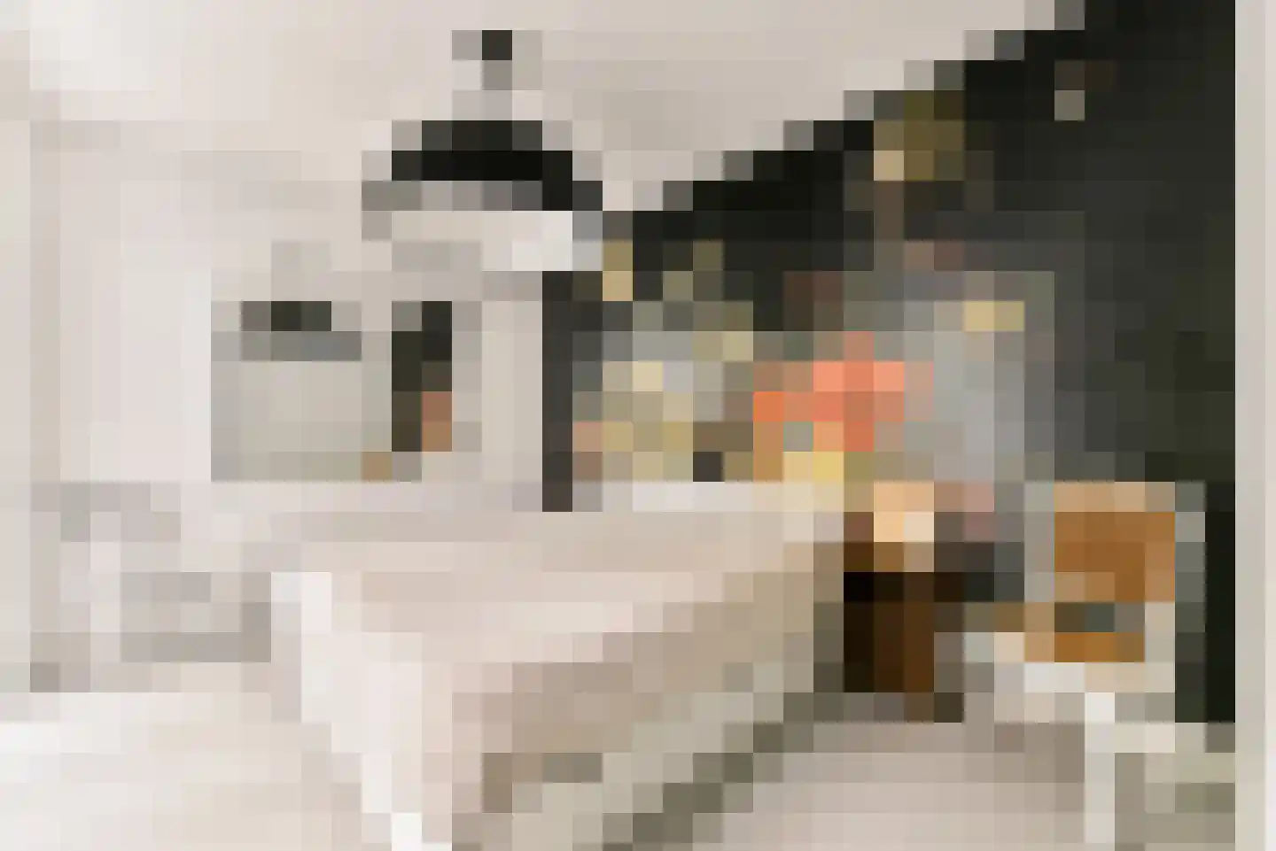 Revaleiland 425 Amsterdam thumbnail 28