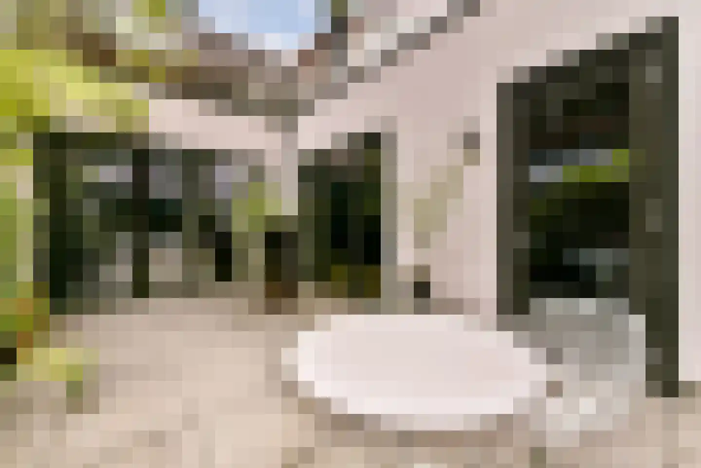 Revaleiland 425 Amsterdam thumbnail 30