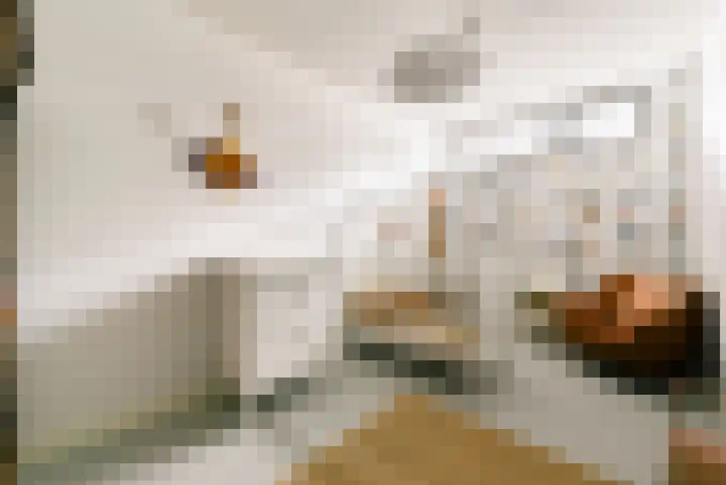 Revaleiland 425 Amsterdam thumbnail 33