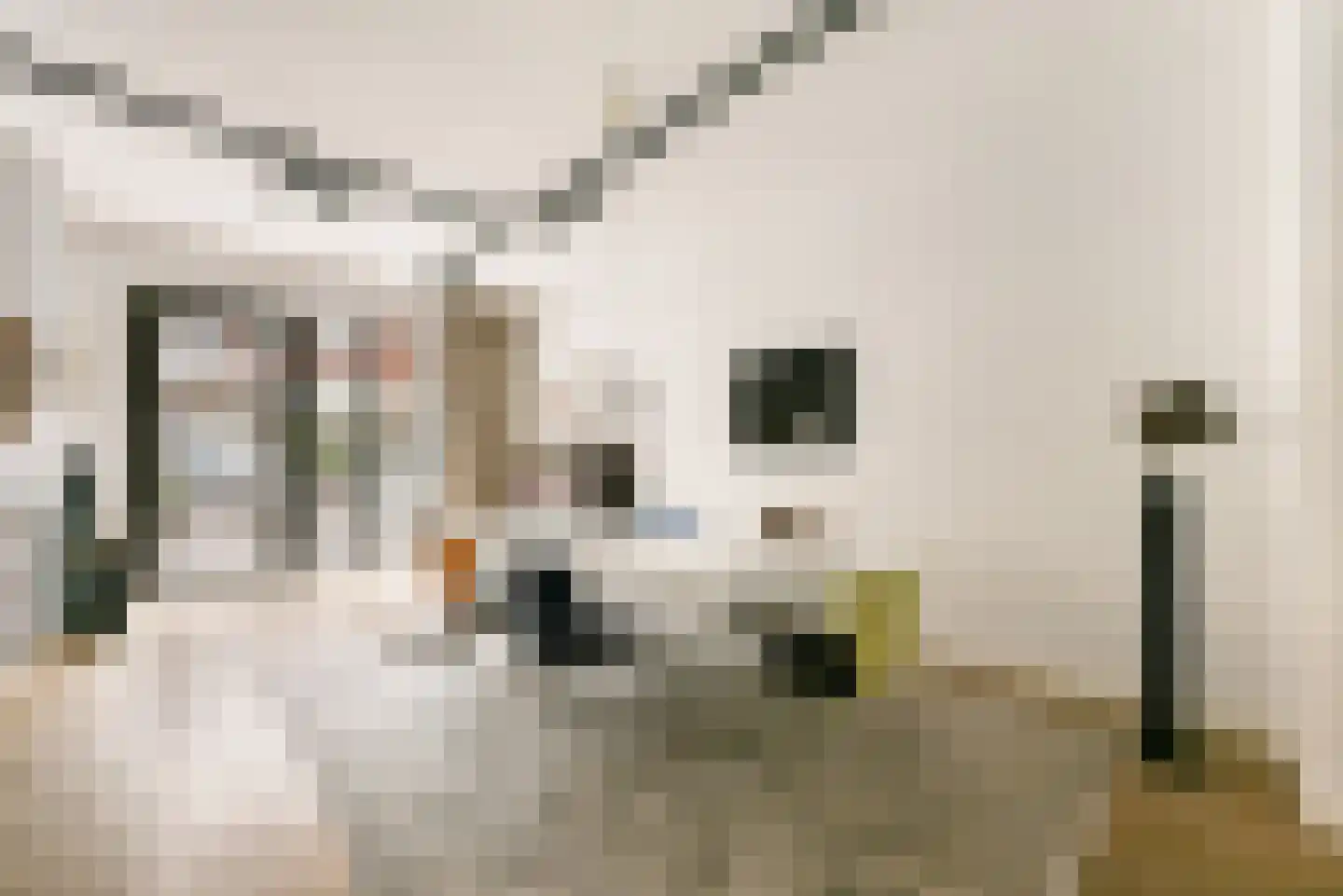 Revaleiland 425 Amsterdam thumbnail 6