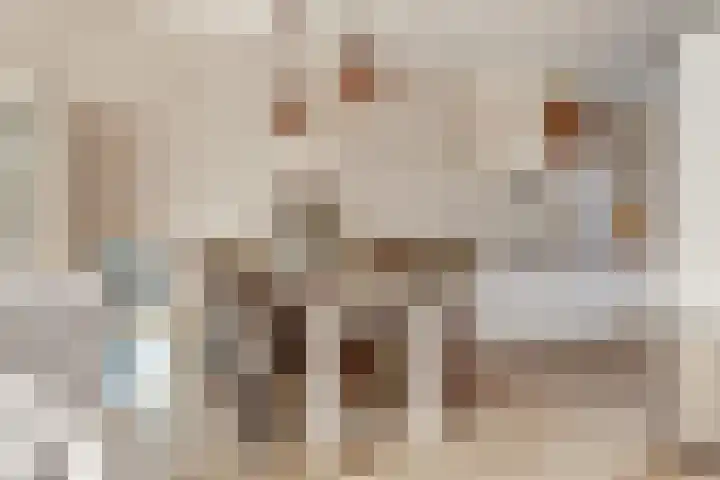 Logo Revast Makelaardij