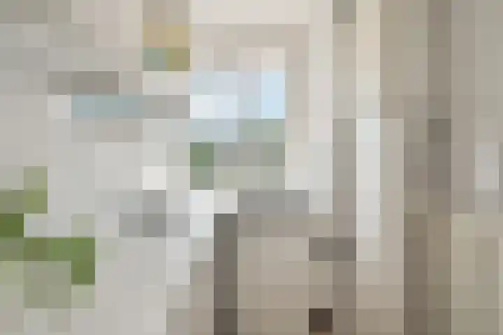 Reviusstraat 22 Alkmaar thumbnail 16