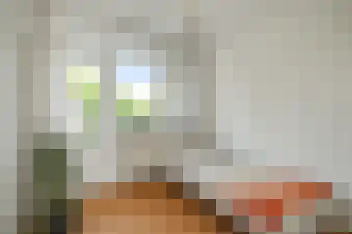 Reviusstraat 22 Alkmaar thumbnail 17