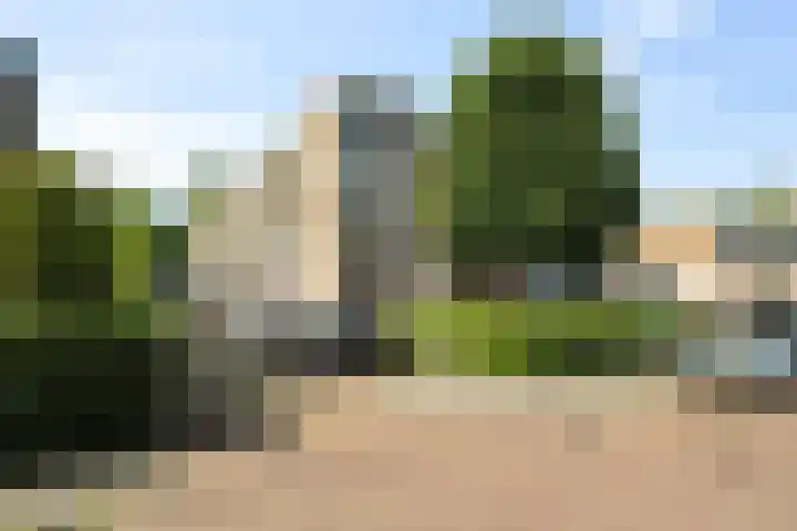 Reviusstraat 22 Alkmaar thumbnail 4