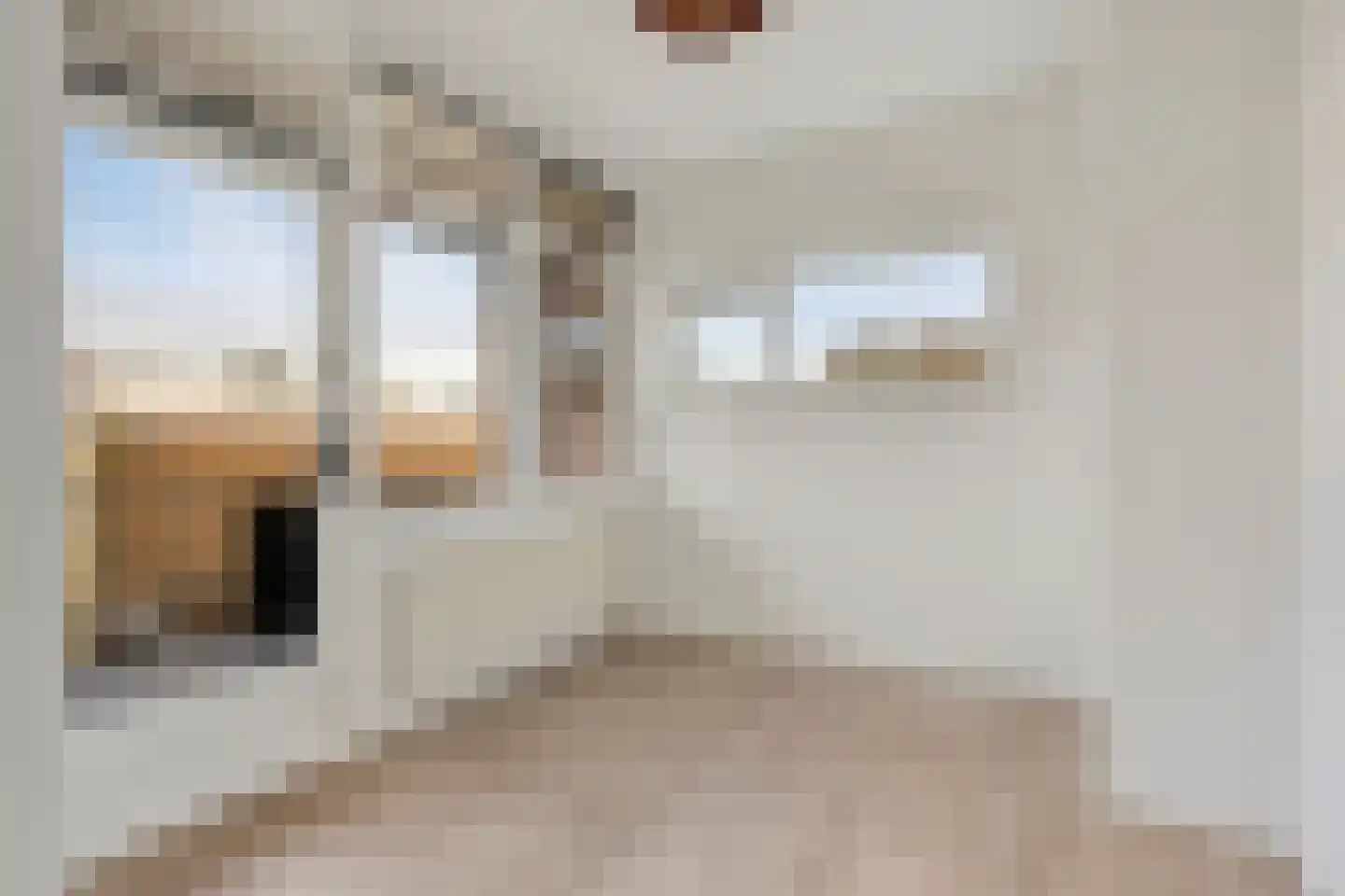 Reviusstraat 72 Alkmaar thumbnail 19