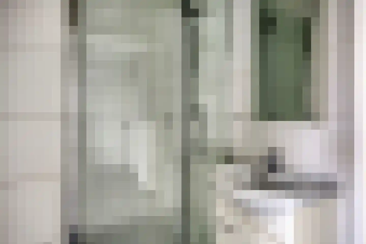 Reviusstraat 72 Alkmaar thumbnail 30