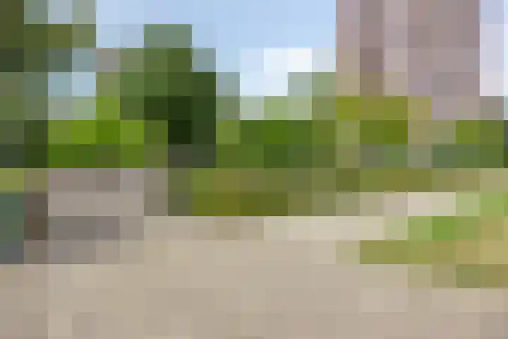 Reyerdijk 33 B Rotterdam thumbnail 27