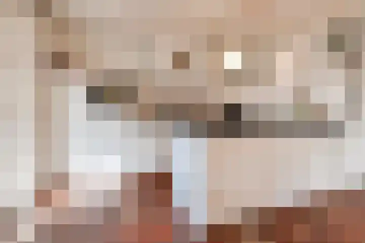Reygerboslaan 32 Giessen thumbnail 16