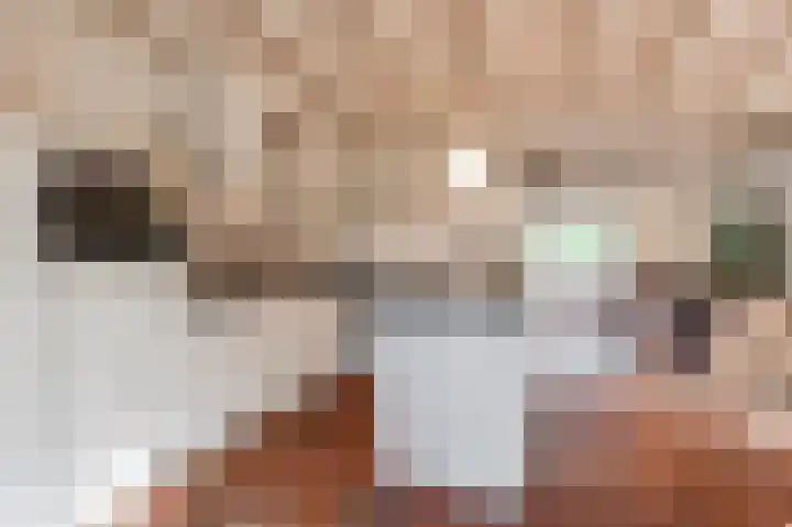 Reygerboslaan 32 Giessen thumbnail 17