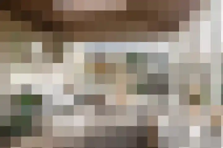 Reygerboslaan 32 Giessen thumbnail 19