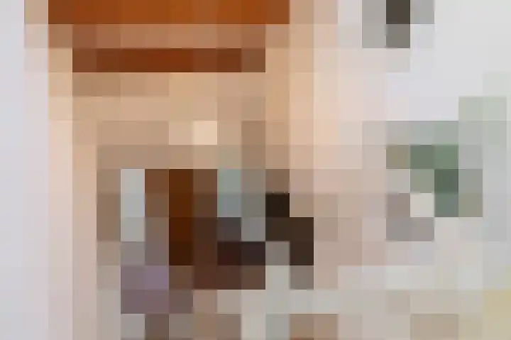 Reygerboslaan 32 Giessen thumbnail 26