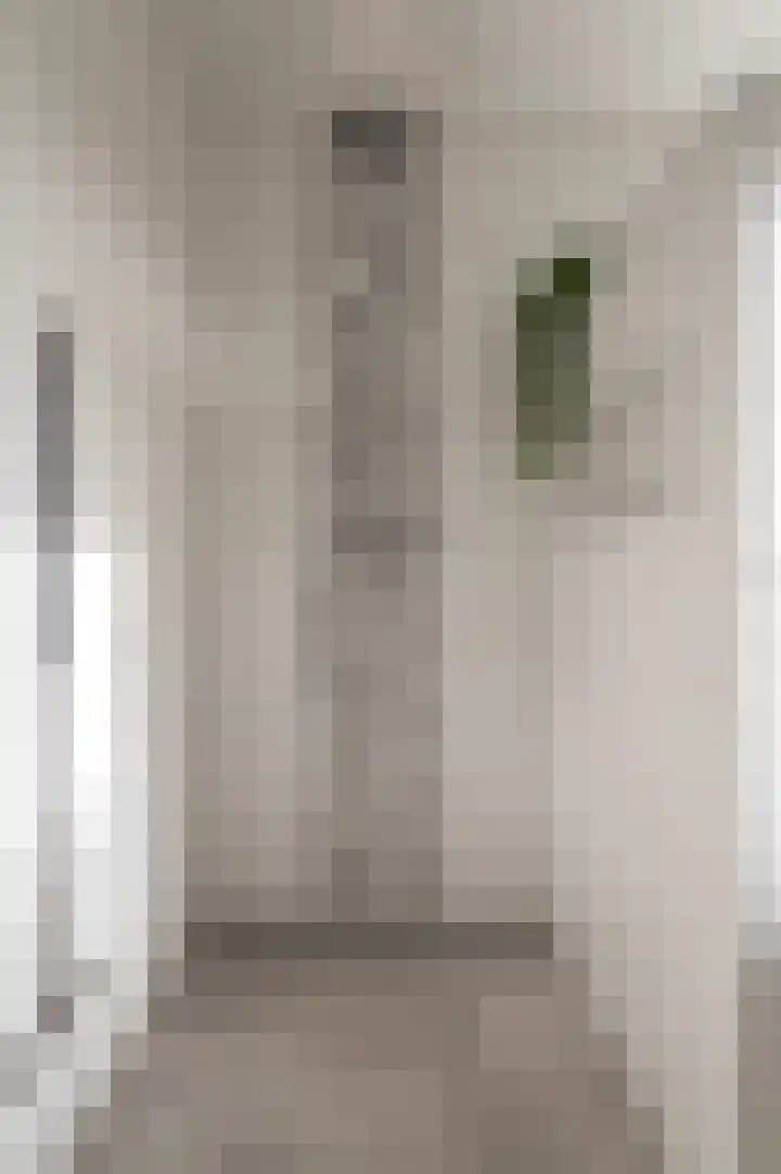 Reygerboslaan 32 Giessen thumbnail 28