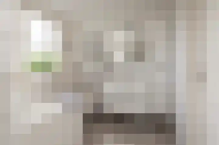 Reygerboslaan 32 Giessen thumbnail 31