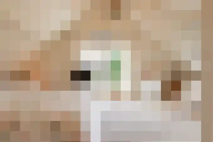 Reygerboslaan 32 Giessen thumbnail 33