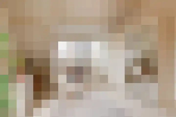 Reygerboslaan 32 Giessen thumbnail 34