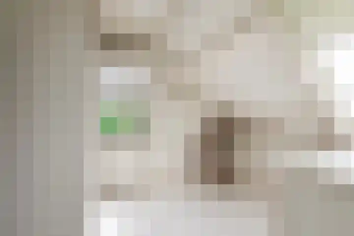 Reygerboslaan 32 Giessen thumbnail 37
