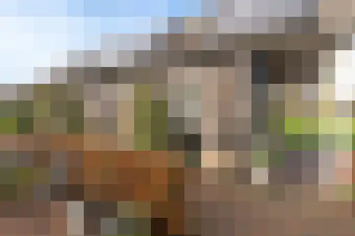 Reygerboslaan 32 Giessen thumbnail 44